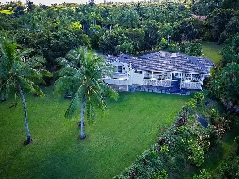 Aerial view of a Maui home with a manicured lawn and coconut palms