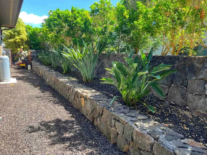 Lava-rock wall with new planting beside a gravel path