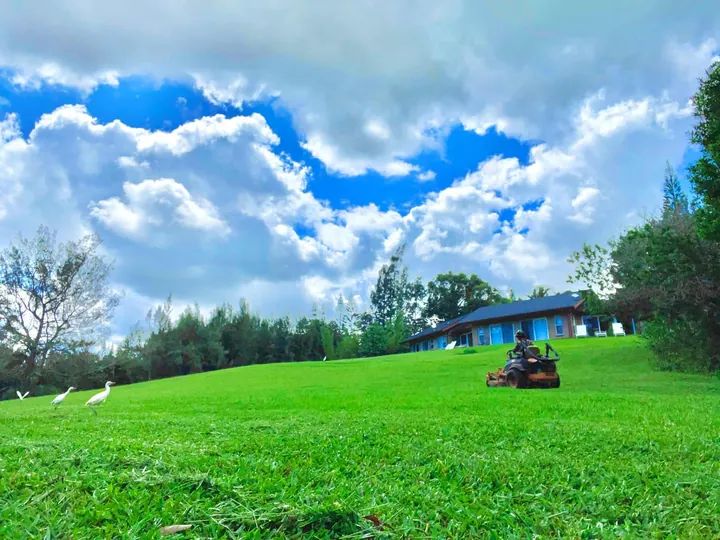 HiMowing crew member mowing a large lawn at a Maui home