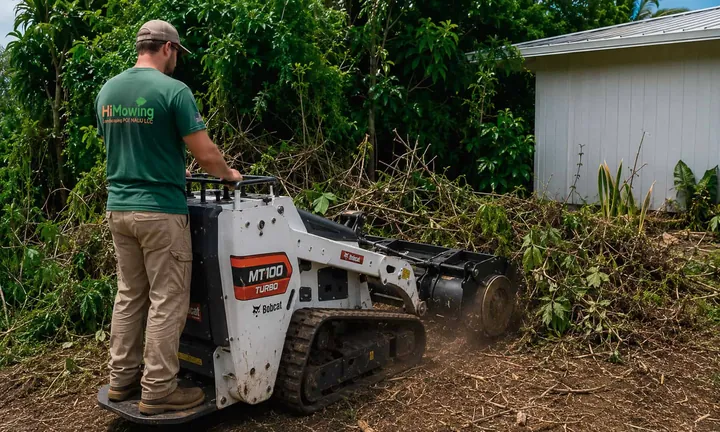 Mini skid steer clearing brush in a tropical yard