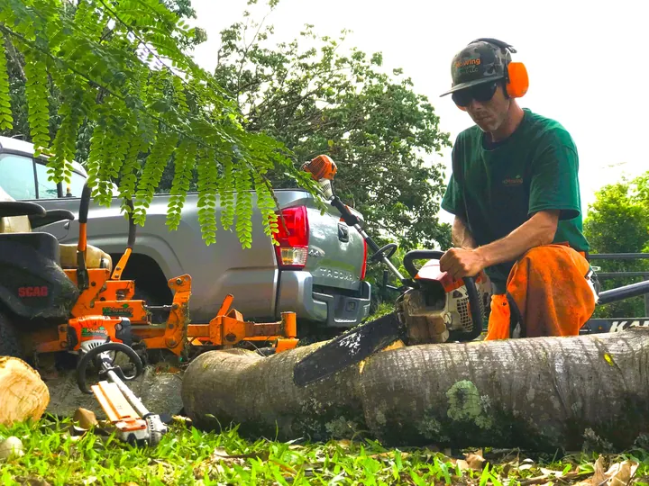 HiMowing arborist cutting a fallen palm trunk with a chainsaw