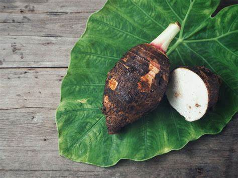 Taro (Kalo) - Image 4
