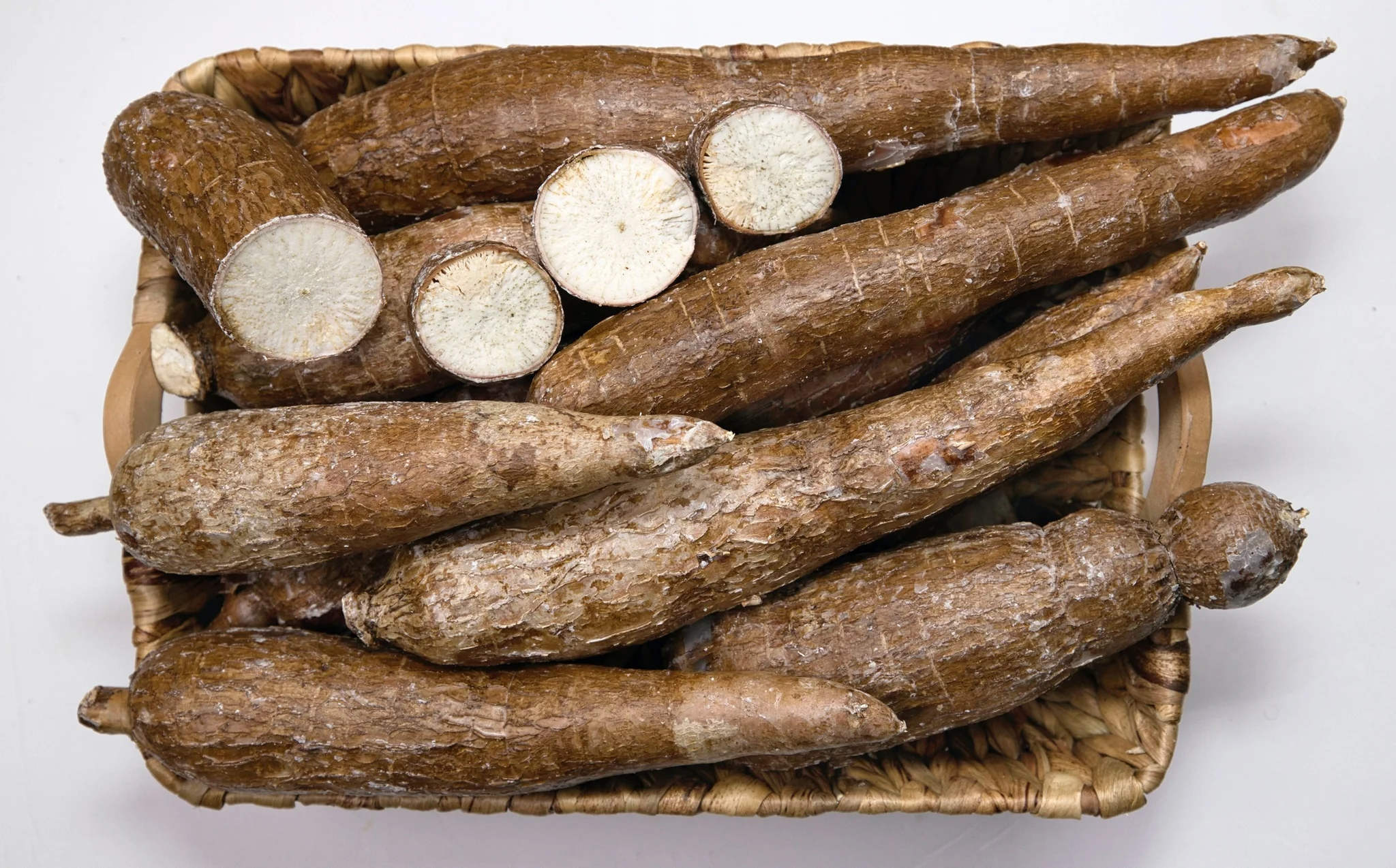 Cassava Plant